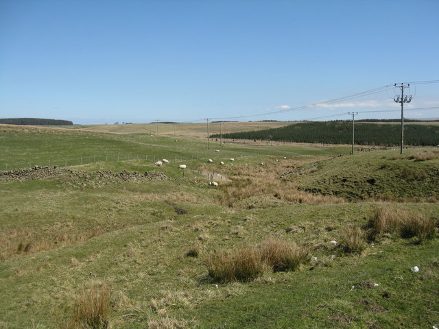 The upper valley of the Eddleston Water