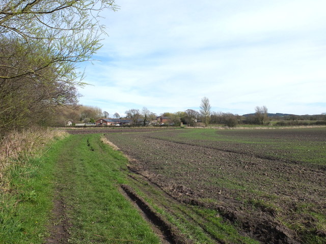 Path from Mawdesley Moss to Back House