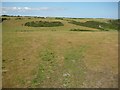 SX7136 : Grassland above Starehole Bottom by Philip Halling