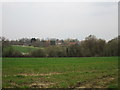 View towards Great Welnetham Hall