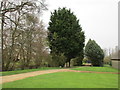 Driveway to Great Welnetham Hall