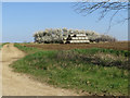 Track from West Halton Lane, Alkborough