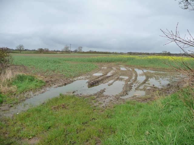 Waterlogged field entrance, south of New Parks Beck