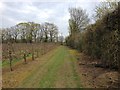 Footpath near Postern Park