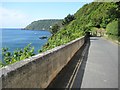 Road beside Salcombe Harbour