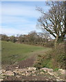 Footpath near Sherbourn House, Eccleston