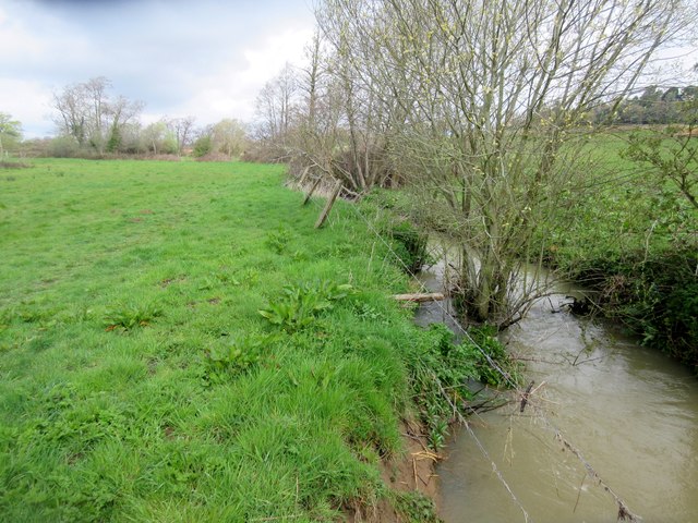 Tributary of River Rother