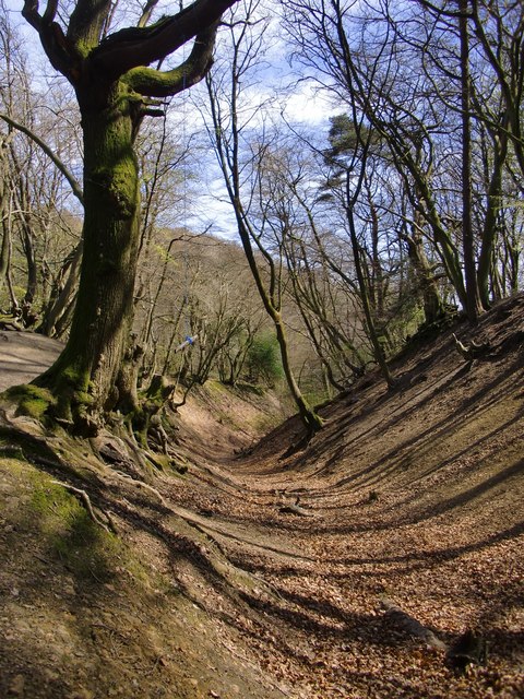 Jelley's Hollow in April (2)