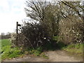 Footpath to Fen Lane