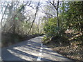 TQ1042 : Radnor Lane near Holmbury St Mary by David Howard