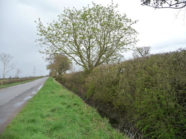 Full ditch, south side of Chapman's Lane