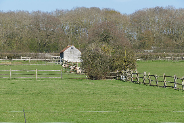 Farmland near Ockham