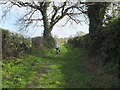 Strawberry Lane, Acton Bridge