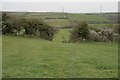 Footpath near Manor Farm, Chickerell