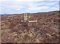 NH3428 : Exclosure fence, on moorland by Strath Marsley by Craig Wallace