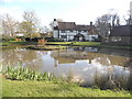 Pond on Lower Breache Road, Ewhurst