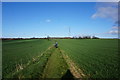 Path at Micklefield