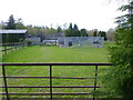 Walkies for horses at stud farm