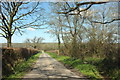 Lane near Cookbury