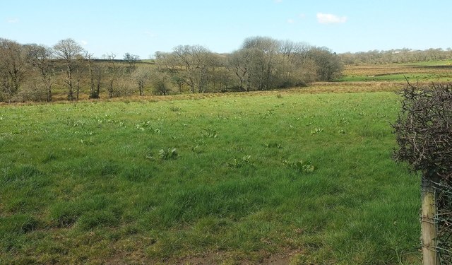 Field west of Lashbrook