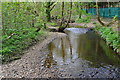 Stream beside Kingfisher Lake