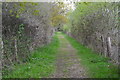 Path between Ivy Lake and Rockford Lake