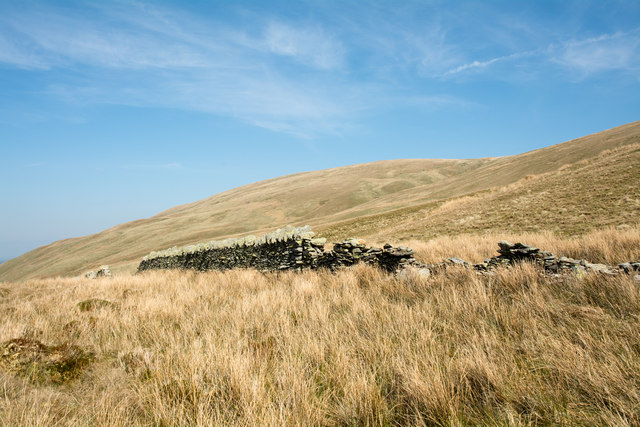 Grassy slope with ruined wall
