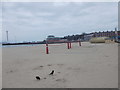 SY6879 : Beach Volley Ball - off The Esplanade by Betty Longbottom