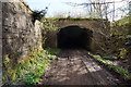 Tunnel on Parlington Lane