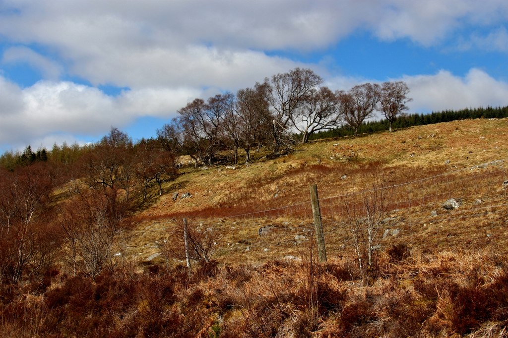 Rough Grassland With Scattered Trees In... © Alan Reid Cc-by-sa/2.0 ...