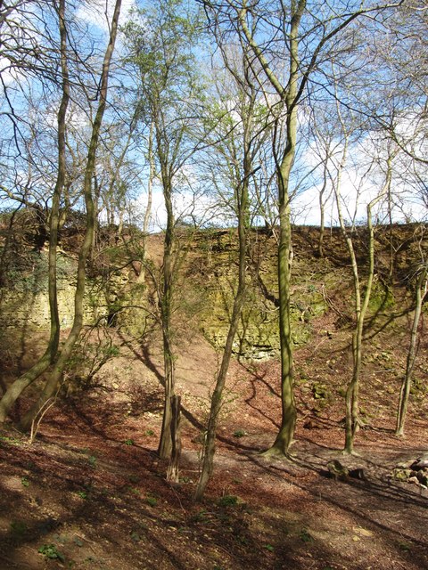 Limestone quarry in Hetchell Wood