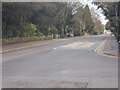 Poole Road - viewed from Clarendon Road