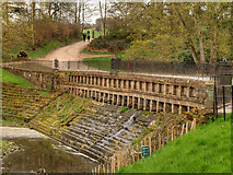 SE2812 : Cascade Bridge and Weir, Yorkshire Sculpture Park by David Dixon