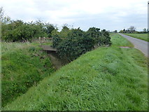TL5167 : Long Drove on Waterbeach Fen by Richard Humphrey