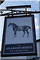 Arabian Horse, Aberford