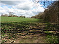 The North Downs Way near Brasted Lane