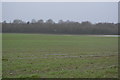 Floodplain, River Ure