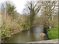 River Ottery at Yeolm Bridge