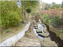 N3409 : Garden stream at Ballymacrory by Oliver Dixon