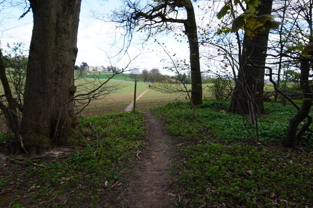 Path in Hazelwood Park