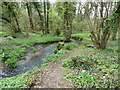 Stream by the North Downs Way in Stowting