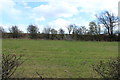 Farmland near Lugton