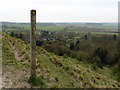 The North Downs Way near Postling