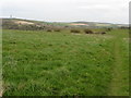 The North Downs Way near Shearins Farm