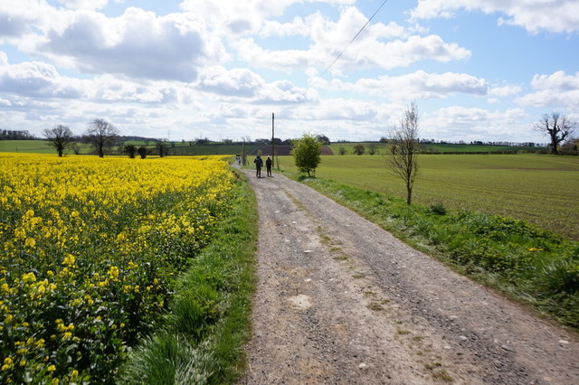 Bridleway towards Lodge Farm