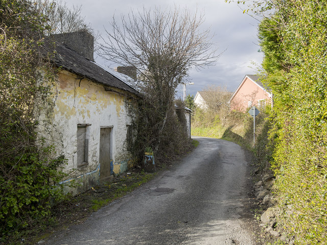 Ruined cottage, Killarney