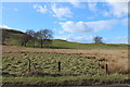 Farmland at Dod Hill