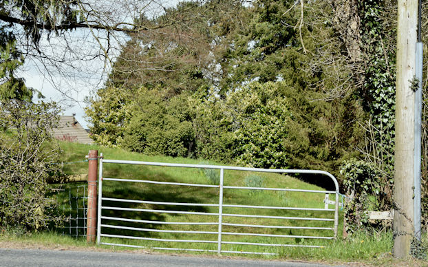 Field gate, Saintfield (April 2016)