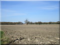 View towards Arglam Lane Farm