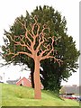 SO0661 : Tree Sculpture, Llandrindod Hospital by Chris Andrews